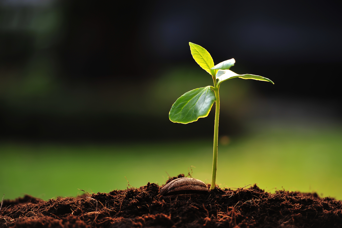 Guide to ESG investing